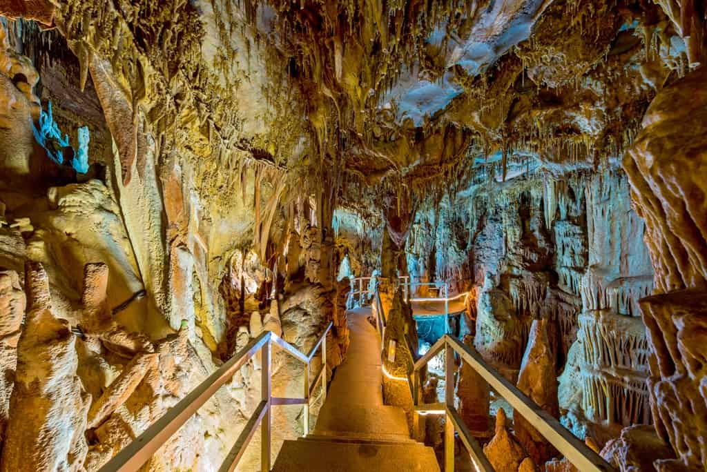 Anthropological Museum & Cave of Petralona