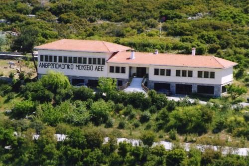 Anthropological Museum of Petralona